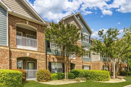 our apartments feature a spacious courtyard with trees and bushes
