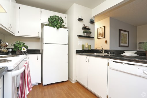 a kitchen with white cabinets and a stove and a refrigerator