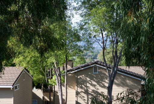 the side of a house with trees next to it