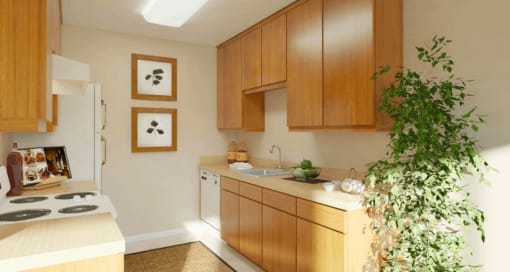 a kitchen with wooden cabinets and a plant in the corner