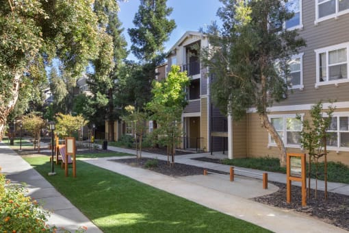 a street view of an apartment building with trees and a sidewalk