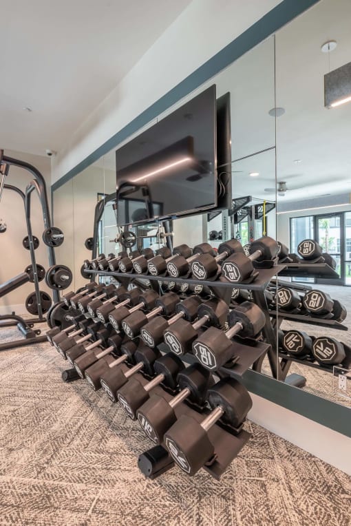 the gym is equipped with weights and a television