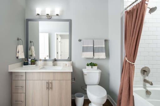 Bathroom with mirror at Alta Davis, Durham, NC, 27703
