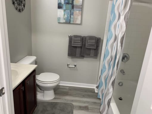 a bathroom with a shower and a toilet and a sink