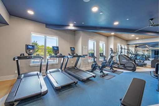 a gym with treadmills and other exercise equipment