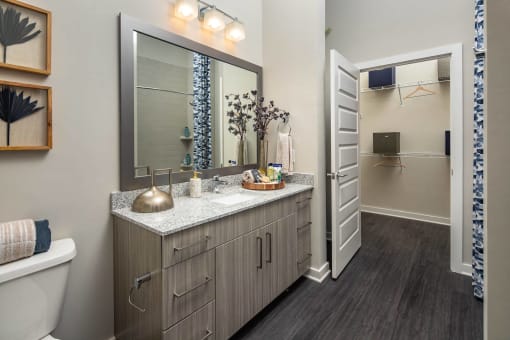 a bathroom with a large mirror and a sink
