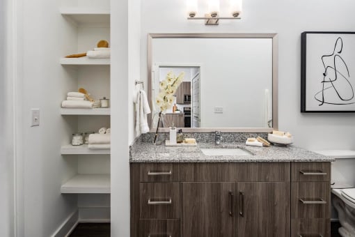 a bathroom with a sink and a mirror