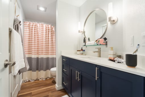 a bathroom with a sink and a toilet and a shower with a shower curtain
