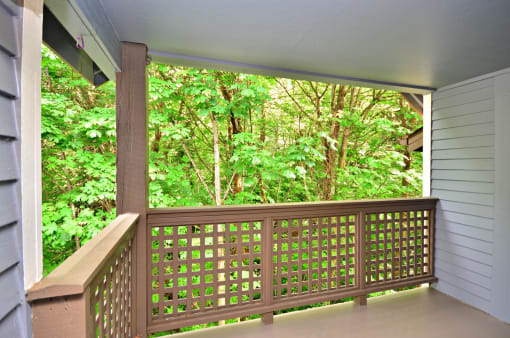 a view of the woods from the porch of a house