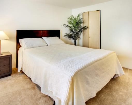a bedroom with a white bed and a palm tree