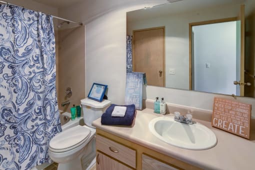a bathroom with a sink and a toilet and a shower