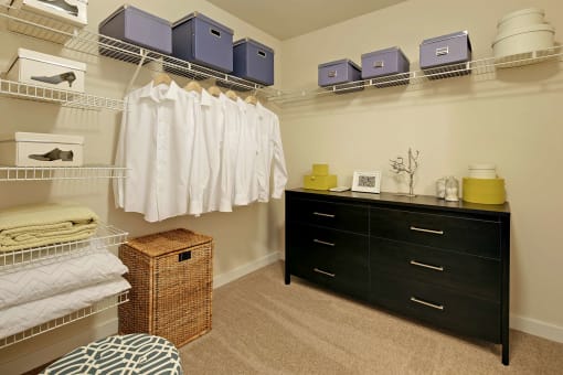 a walk in closet with a dresser and closets with clothes