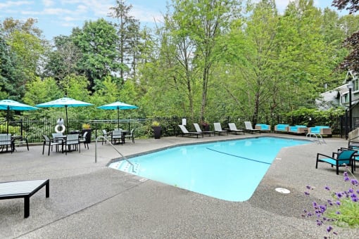 a resort style pool with chairs and umbrellas and trees