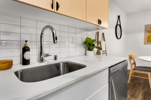 a kitchen with a sink and a dishwasher