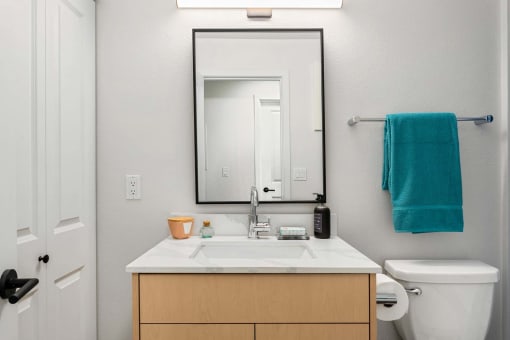 a bathroom with a sink and a mirror