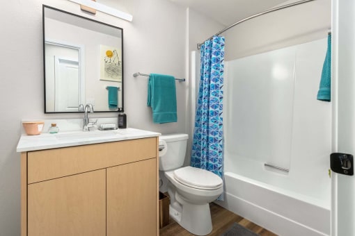 a bathroom with a shower toilet and sink