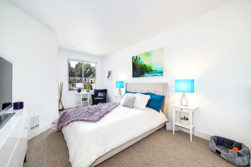 a bedroom with a bed and a tv