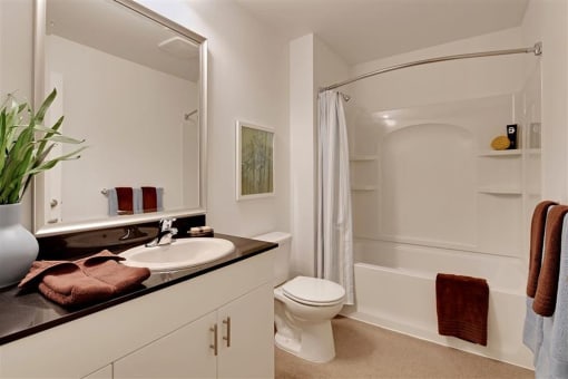 a bathroom with a sink and a toilet and a shower