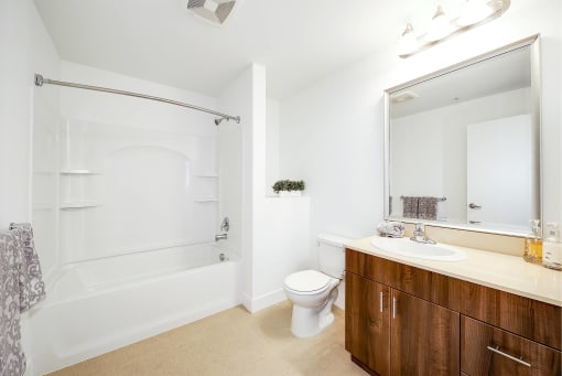 a bathroom with a toilet sink and a bath tub