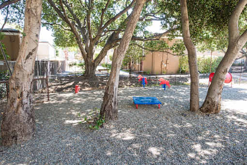 a playground with trees and a blue bench at Hillsdale Garden Apartments, San Mateo, CA