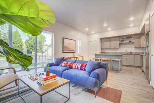a living room with a blue couch and a coffee table