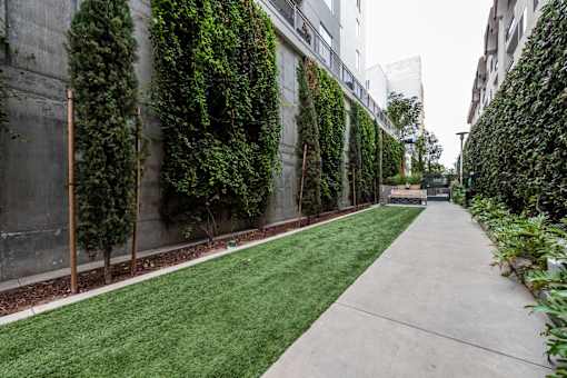 A concrete pathway leads through a green space with a wall of plants on one side.