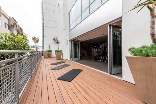 A wooden deck with yoga mats and a palm tree.