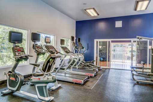A gym with treadmills and exercise bikes.
