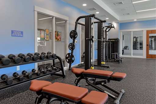 A gym with a row of dumbbells and a bench.