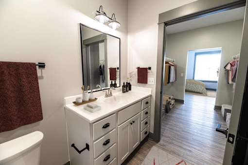 A bathroom with a white vanity and a large mirror.