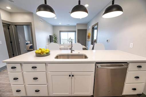 A modern kitchen with a white countertop and a stainless steel dishwasher.