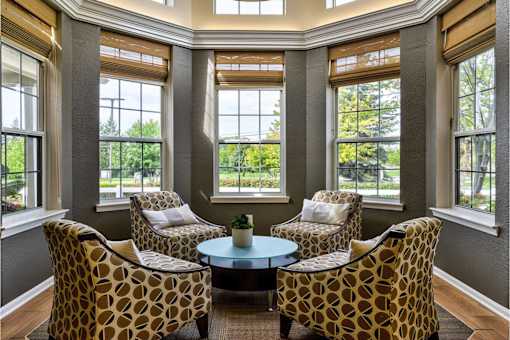Four leopard print chairs are arranged around a coffee table in a sunny room.