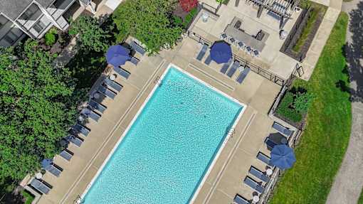 An aerial view of a swimming pool surrounded by lounge chairs and umbrellas.