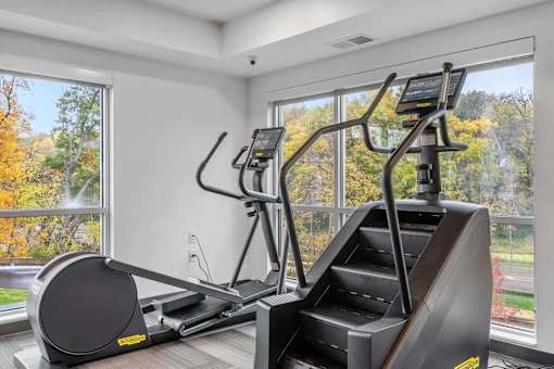A treadmill and a stationary bike are in a room with a view of trees outside.