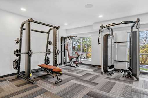 A gym with a squat rack, a bench, and a rowing machine.