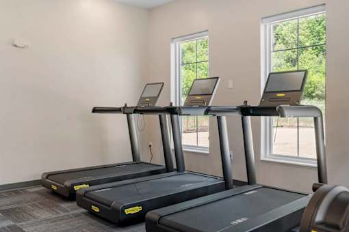 Three treadmills are lined up in a row in a room with windows.