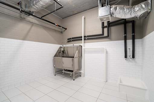 A white tiled bathroom with a sink and a toilet.