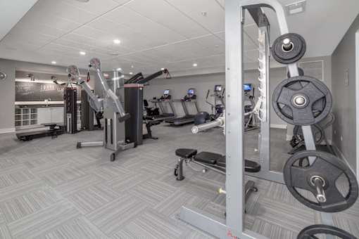 A well-equipped gym with various fitness machines and weights.