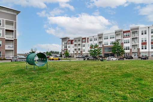 Open space dog park at The View on Collins pet friendly apartments in Lansing, MI