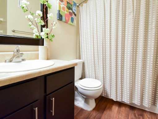 A white toilet sits next to a sink in a bathroom.