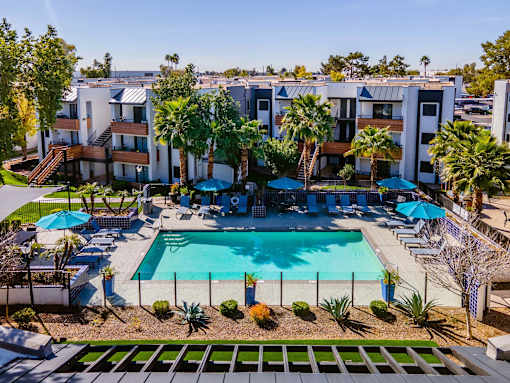 A swimming pool surrounded by palm trees and lounge chairs.