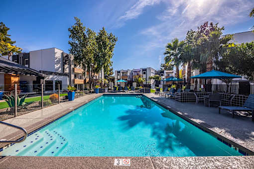 A large swimming pool in a sunny outdoor setting.