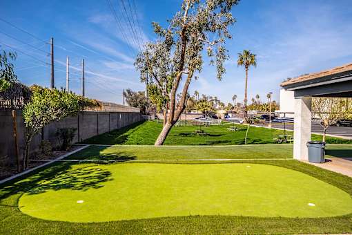 A green lawn in the middle of a sunny day.