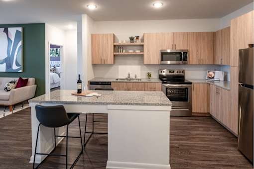 Stylish kitchen finishes and stainless steel applicances