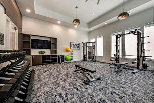 Fully equipped fitness center