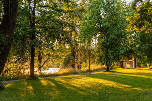 A serene park with trees and a pathway.