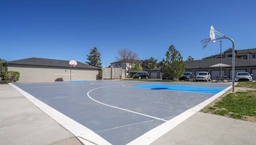A basketball court with a blue surface and a white hoop.