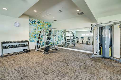 A gym with a variety of equipment including weights and a squat rack.