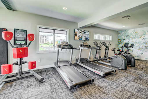 A gym with treadmills, elliptical machines, and dumbbells.