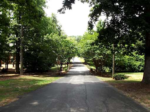 A tree-lined road stretches into the distance.